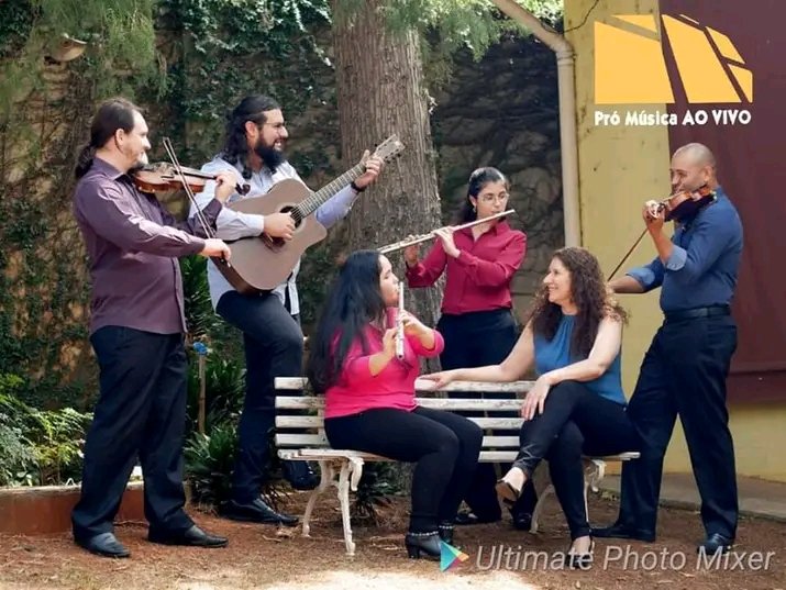 Orquestra Sinfônica, Orquestra Filarmônica, Orquestra de Câmara, Camerata…