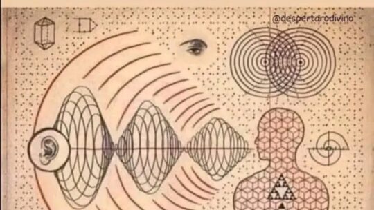 SETE COISAS QUE AFETAM SUA FREQUÊNCIA VIBRATÓRIA (Artigo da Internet)