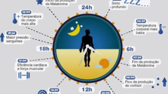 CICLO CIRCADIANO (ZEITGEBER) – Entenda e Viva Melhor!