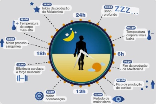 CICLO CIRCADIANO (ZEITGEBER) – Entenda e Viva Melhor!