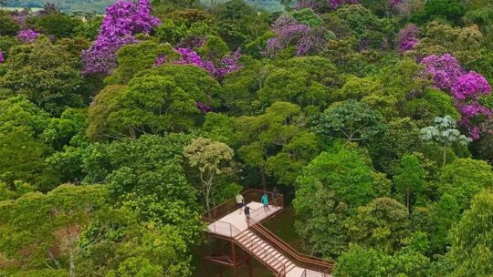 INAUGURADO O PARQUE NATURAL MUNICIPAL CABECEIRAS DO ARICANDUVA, em SÃO PAULO